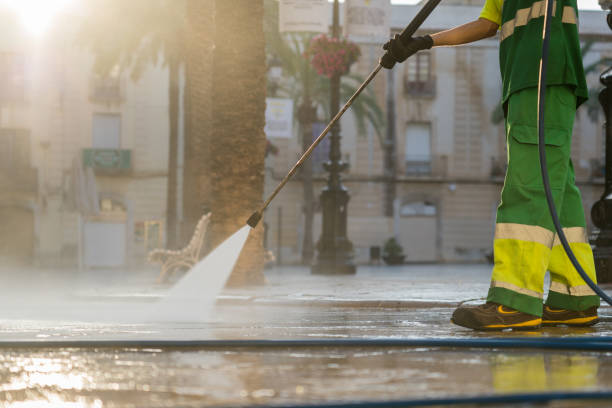 Best Gutter Cleaning  in Holly Springs, NC